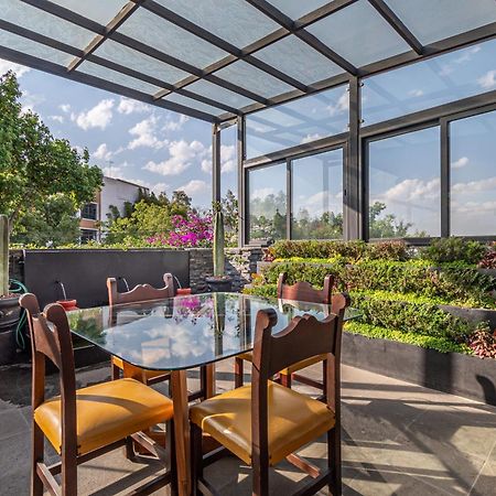 Апартаменты Terraza & Loft San Angel Мехико Экстерьер фото