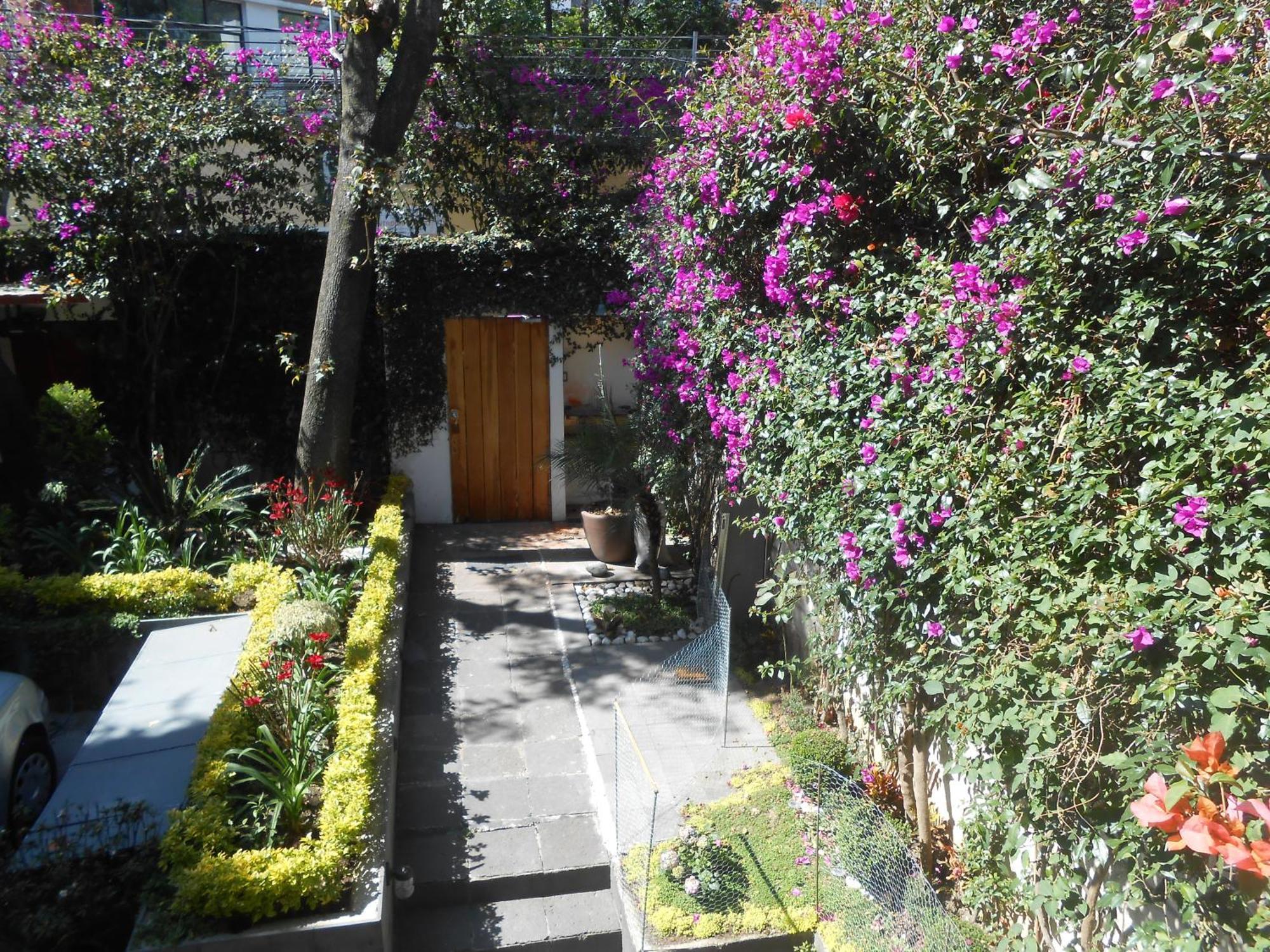 Апартаменты Terraza & Loft San Angel Мехико Экстерьер фото