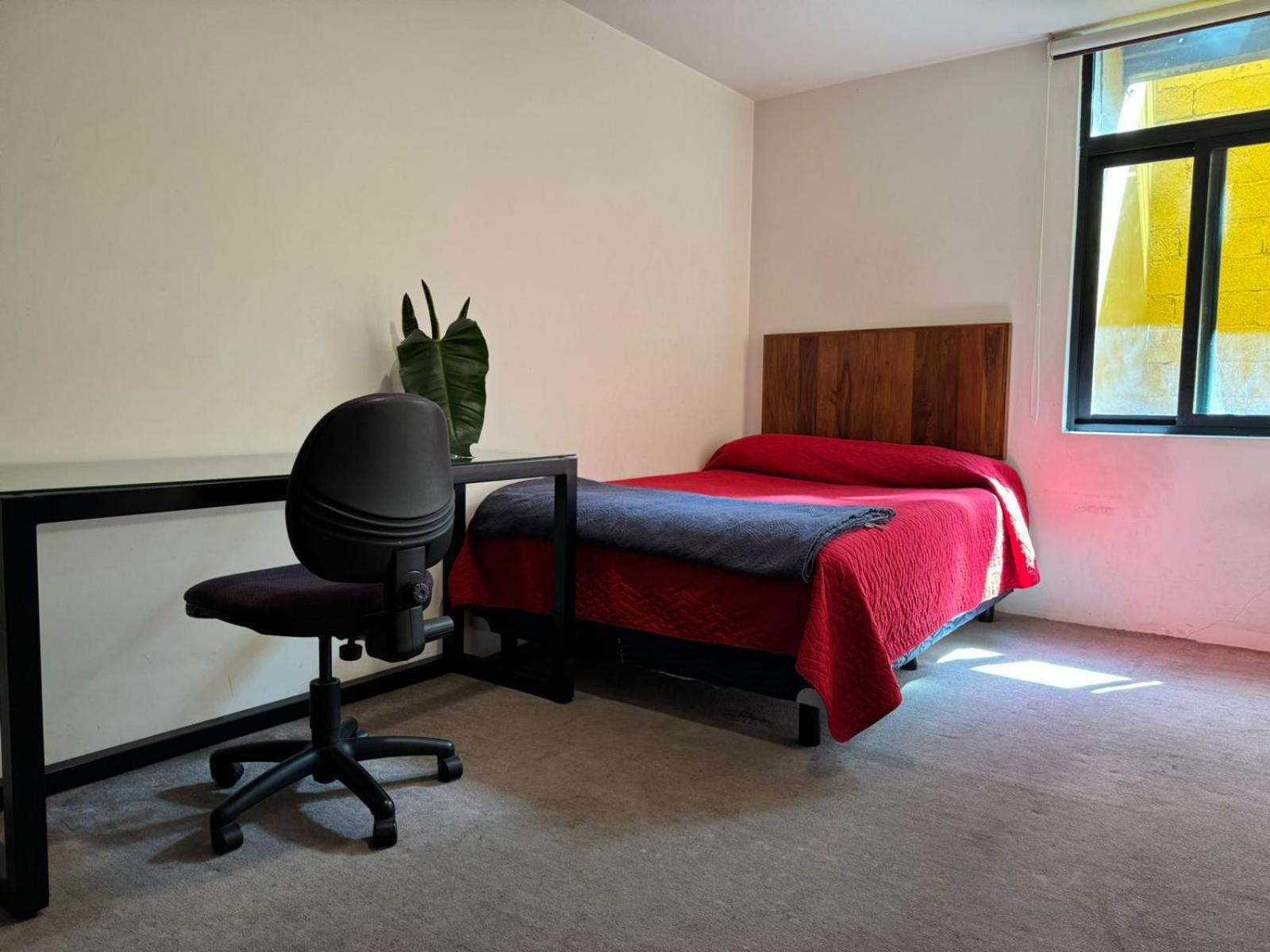 Апартаменты Terraza & Loft San Angel Мехико Экстерьер фото