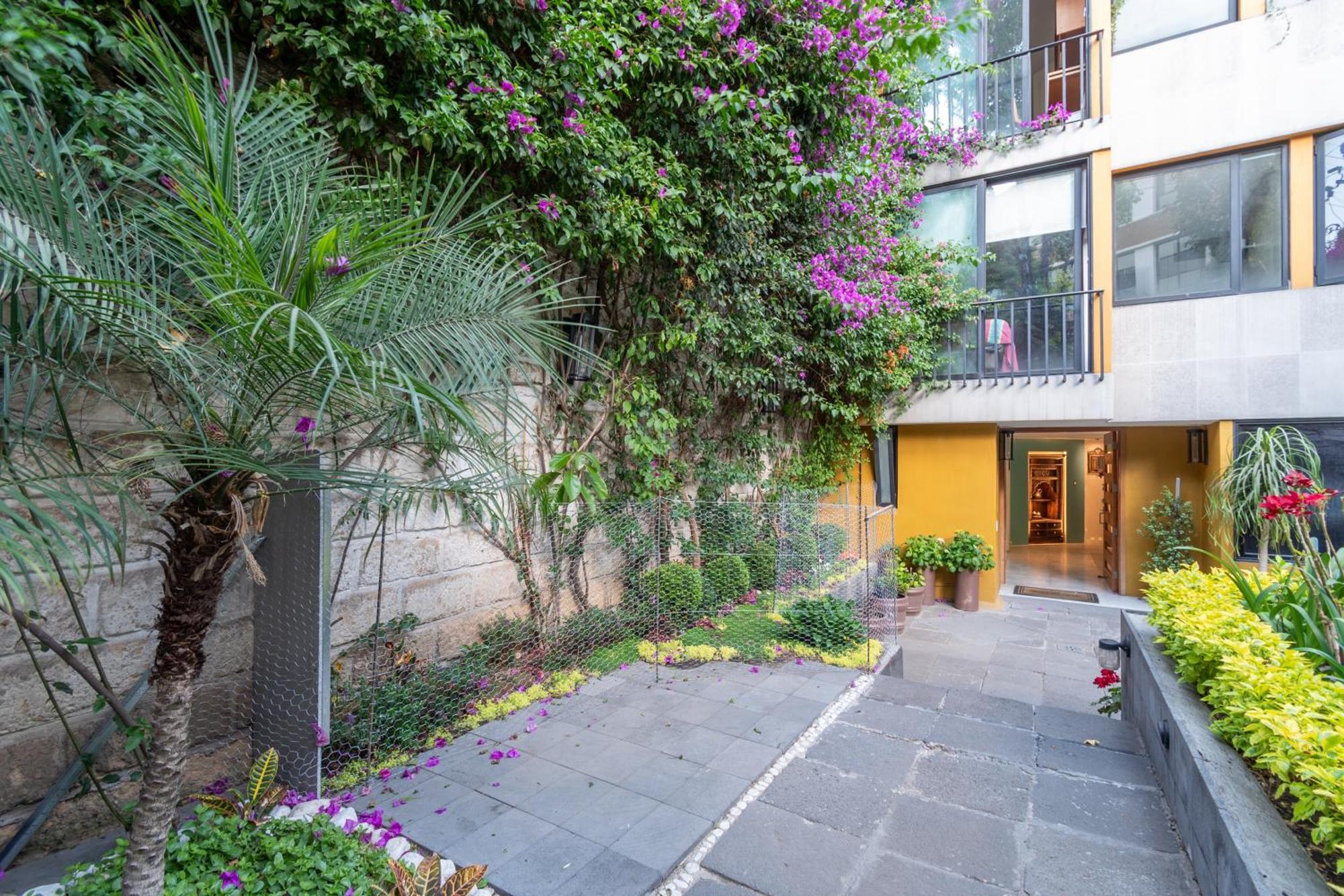 Апартаменты Terraza & Loft San Angel Мехико Экстерьер фото