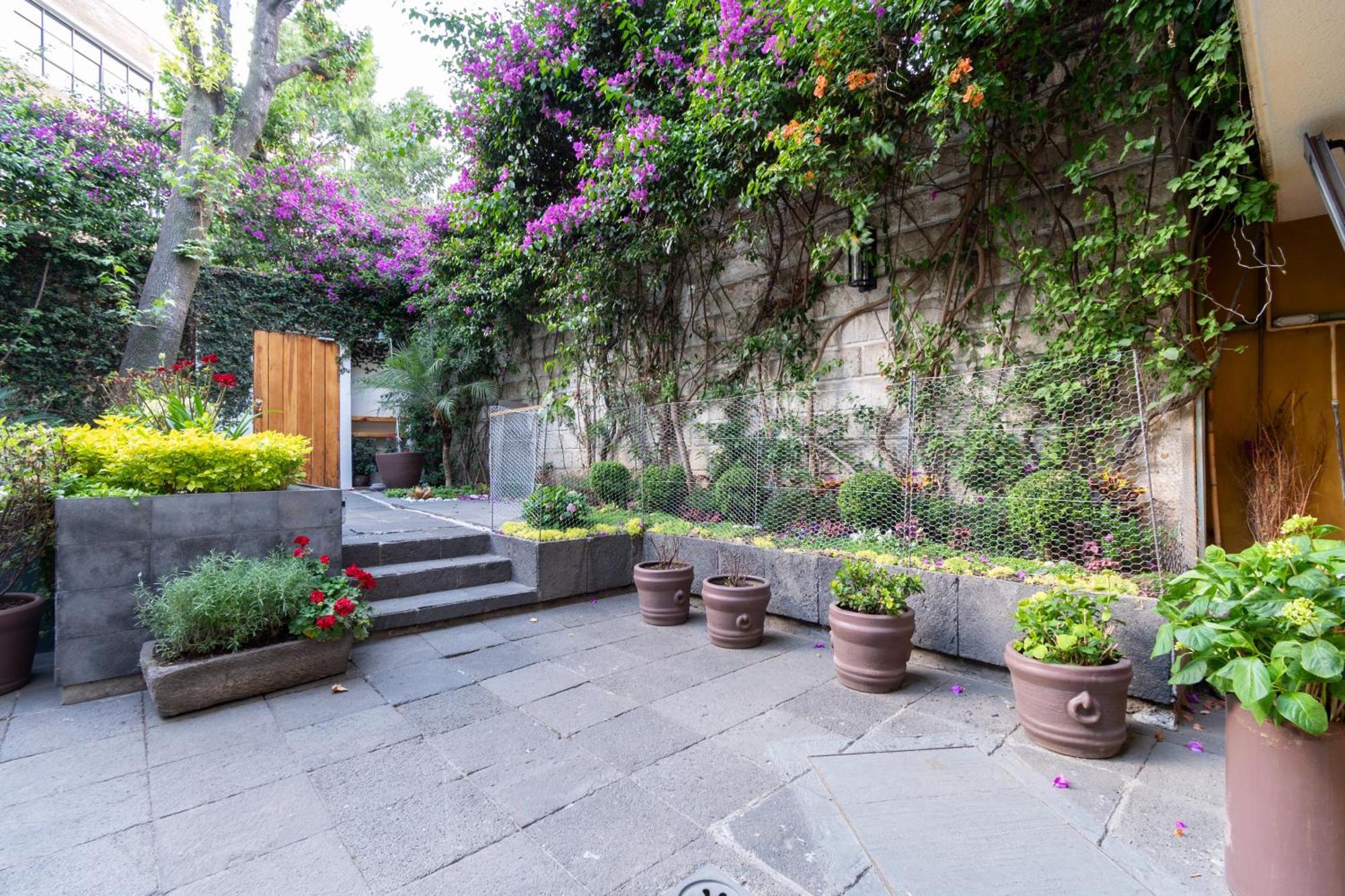 Апартаменты Terraza & Loft San Angel Мехико Экстерьер фото
