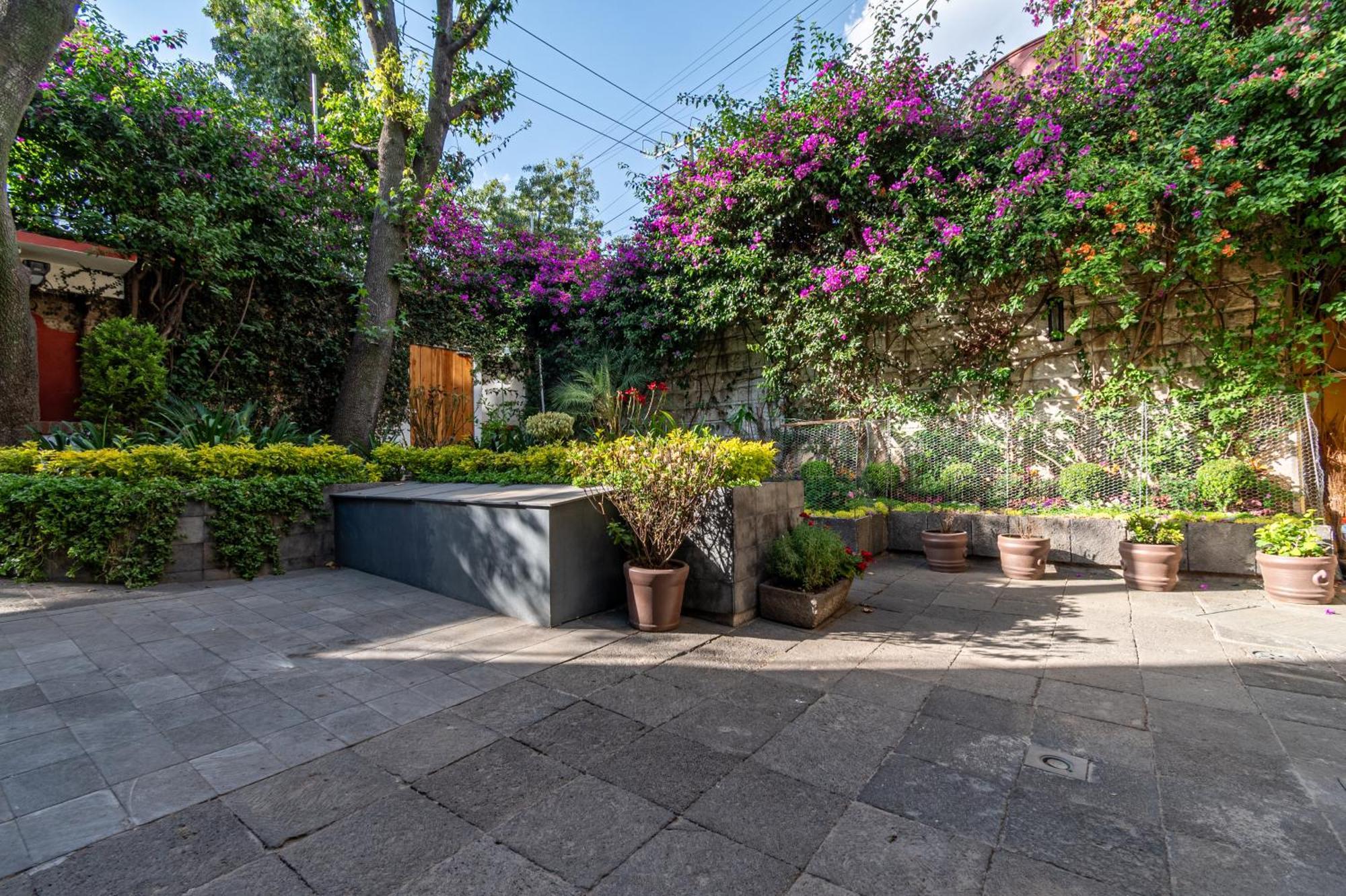 Апартаменты Terraza & Loft San Angel Мехико Экстерьер фото
