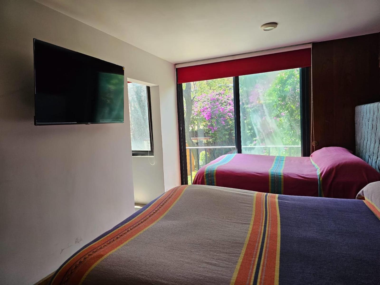 Апартаменты Terraza & Loft San Angel Мехико Экстерьер фото